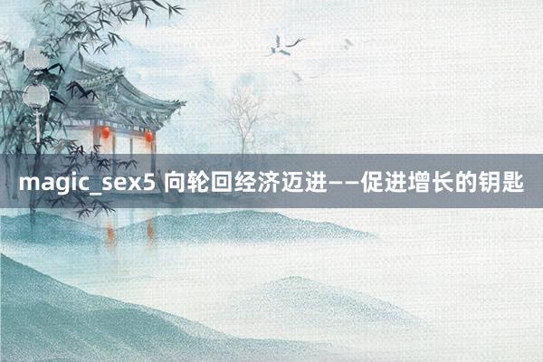 magic_sex5 向轮回经济迈进——促进增长的钥匙