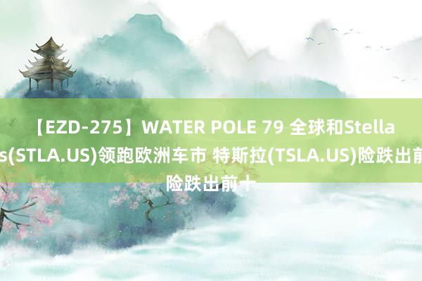 【EZD-275】WATER POLE 79 全球和Stellantis(STLA.US)领跑欧洲车市 特斯拉(TSLA.US)险跌出前十