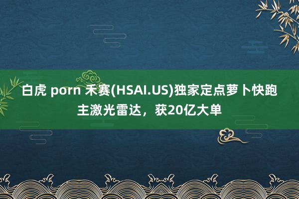 白虎 porn 禾赛(HSAI.US)独家定点萝卜快跑主激光雷达，获20亿大单