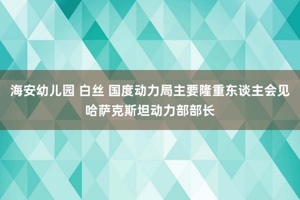 海安幼儿园 白丝 国度动力局主要隆重东谈主会见哈萨克斯坦动力部部长