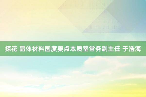 探花 晶体材料国度要点本质室常务副主任 于浩海