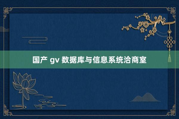 国产 gv 数据库与信息系统洽商室