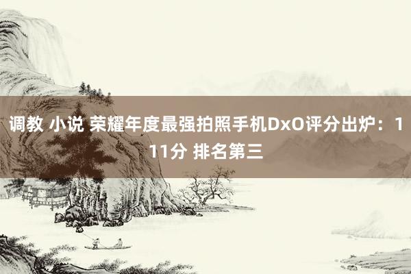 调教 小说 荣耀年度最强拍照手机DxO评分出炉：111分 排名第三