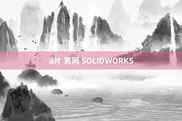 a片 男同 SOLIDWORKS