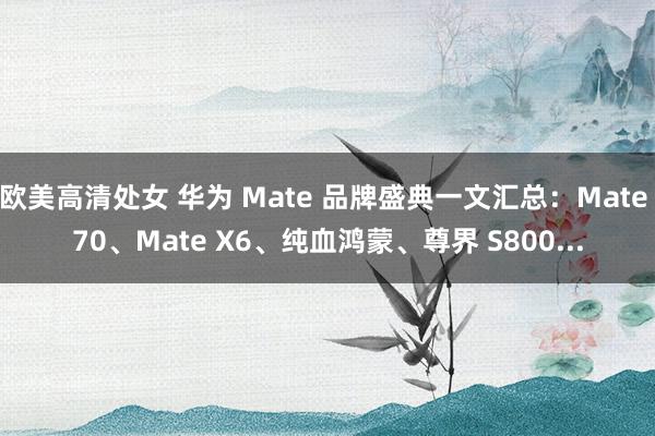 欧美高清处女 华为 Mate 品牌盛典一文汇总：Mate 70、Mate X6、纯血鸿蒙、尊界 S800...